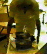 Roy Thornson Free Energy & AntiGravity